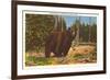 Bear, Yellowstone Park, Montana-null-Framed Premium Giclee Print