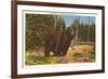 Bear, Yellowstone Park, Montana-null-Framed Premium Giclee Print