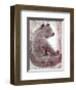 Bear-Silvana Crefcoeur-Framed Art Print