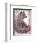 Bear-Silvana Crefcoeur-Framed Art Print