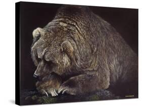 Bear-Harro Maass-Stretched Canvas