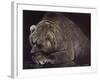 Bear-Harro Maass-Framed Giclee Print