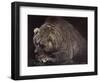 Bear-Harro Maass-Framed Giclee Print