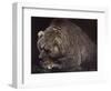 Bear-Harro Maass-Framed Giclee Print