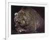 Bear-Harro Maass-Framed Giclee Print