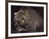 Bear-Harro Maass-Framed Giclee Print