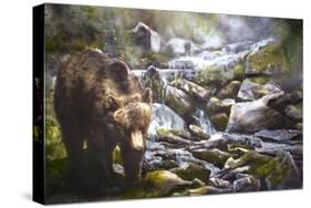 Bear-Murray Murray Henderson Fine Art-Stretched Canvas