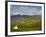 Beara Peninsula, Co, Cork and Co, Kerry, Ireland-Doug Pearson-Framed Photographic Print