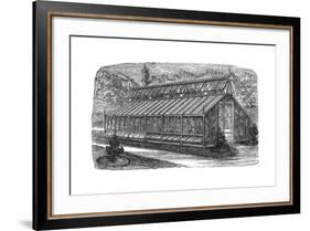 Beard's Greenhouse-null-Framed Giclee Print