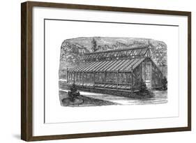 Beard's Greenhouse-null-Framed Giclee Print
