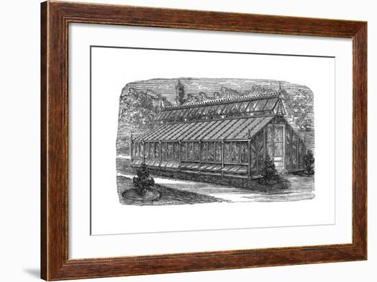 Beard's Greenhouse-null-Framed Giclee Print