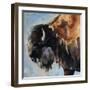 Bearded Buffalo-Renee Gould-Framed Giclee Print
