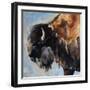 Bearded Buffalo-Renee Gould-Framed Giclee Print