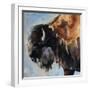 Bearded Buffalo-Renee Gould-Framed Giclee Print