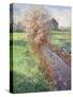 Bearded Bush-Timothy Easton-Stretched Canvas