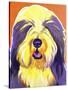 Bearded Collie - Banana-Dawgart-Stretched Canvas