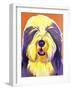 Bearded Collie - Banana-Dawgart-Framed Giclee Print