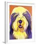 Bearded Collie - Banana-Dawgart-Framed Giclee Print