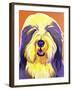 Bearded Collie - Banana-Dawgart-Framed Giclee Print