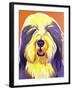 Bearded Collie - Banana-Dawgart-Framed Giclee Print