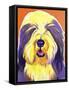 Bearded Collie - Banana-Dawgart-Framed Stretched Canvas