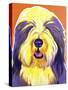 Bearded Collie - Banana-Dawgart-Stretched Canvas