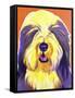 Bearded Collie - Banana-Dawgart-Framed Stretched Canvas