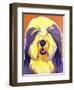 Bearded Collie - Banana-Dawgart-Framed Giclee Print