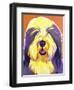 Bearded Collie - Banana-Dawgart-Framed Giclee Print