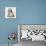 Bearded Collie Bitch, Flora, Sitting-Mark Taylor-Photographic Print displayed on a wall