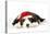 Bearded Collie Puppy Lying Down Wearing Christmas Hat-null-Stretched Canvas