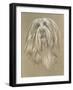 Bearded Collie-Barbara Keith-Framed Giclee Print