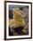 Bearded Dragon-Adam Jones-Framed Photographic Print