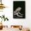 Bearded Dragon-DLILLC-Framed Photographic Print displayed on a wall