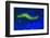 Bearded Fireworm Underwater Fluorescence, West Palm Beach, Florida, USA-Stuart Westmorland-Framed Photographic Print