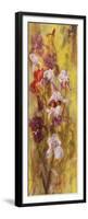 Bearded Iris I-li bo-Framed Premium Giclee Print