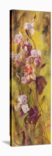 Bearded Iris II-li bo-Stretched Canvas