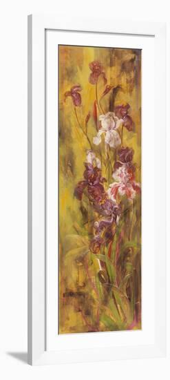 Bearded Iris III-li bo-Framed Giclee Print