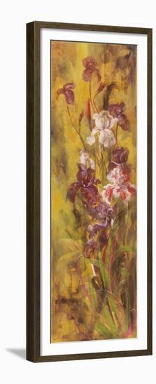 Bearded Iris III-li bo-Framed Premium Giclee Print