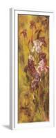 Bearded Iris III-li bo-Framed Premium Giclee Print