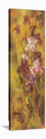 Bearded Iris III-li bo-Stretched Canvas