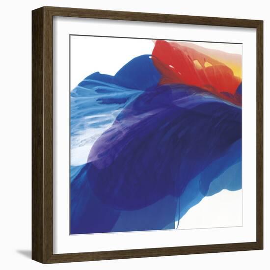 Bearded Iris in Focus-Nick Vivian-Framed Giclee Print