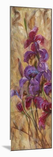 Bearded Iris V-li bo-Mounted Giclee Print