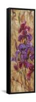 Bearded Iris V-li bo-Framed Stretched Canvas