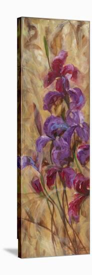 Bearded Iris V-li bo-Stretched Canvas