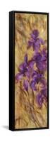 Bearded Iris VII-li bo-Framed Stretched Canvas