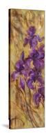 Bearded Iris VII-li bo-Stretched Canvas