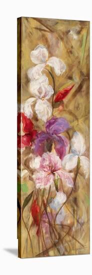 Bearded Iris VIII-li bo-Stretched Canvas