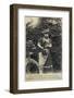 Bearded Lady and Dog-null-Framed Photographic Print