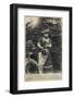 Bearded Lady and Dog-null-Framed Photographic Print